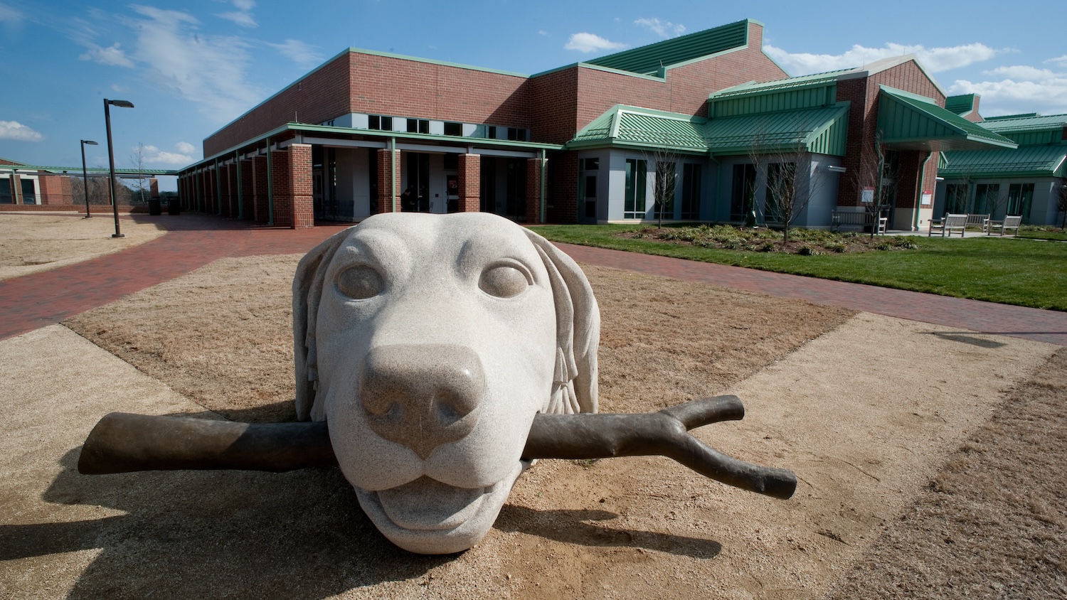 Dog statue in front of the College of Veterinary Medicine building.