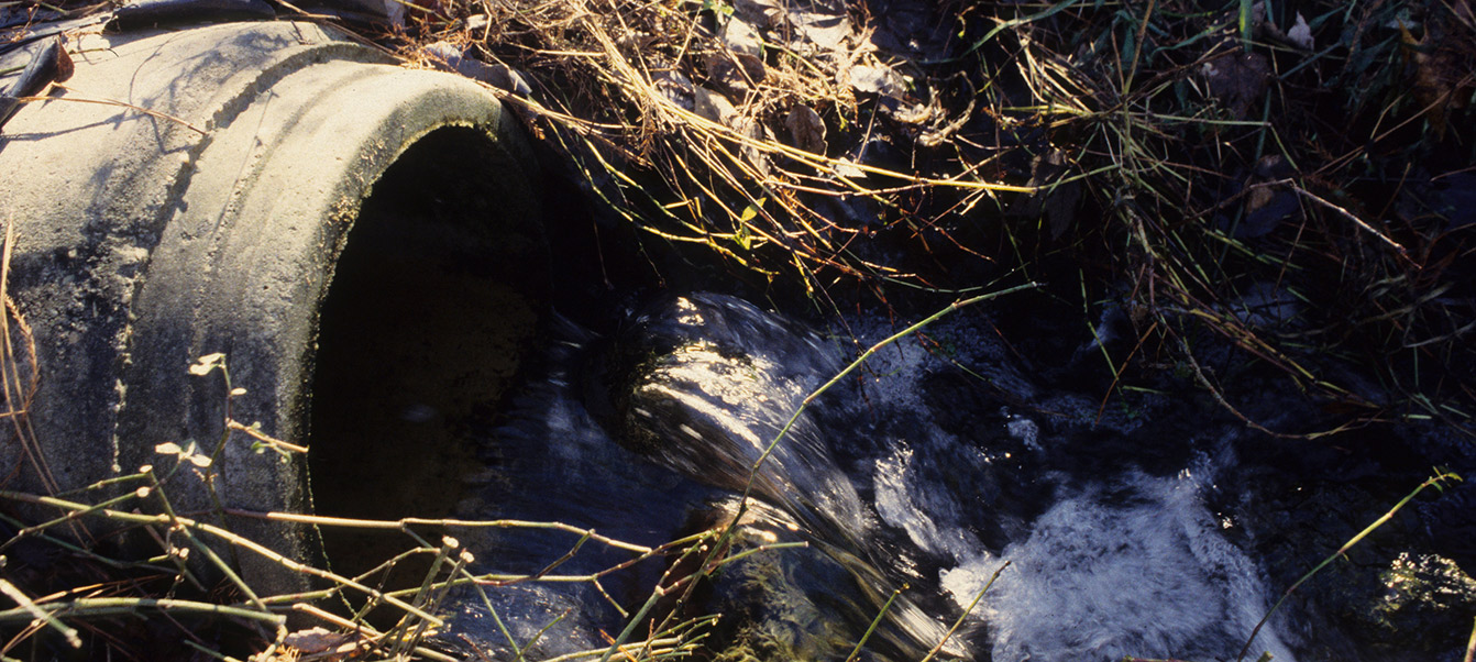 Exterior storm water drainage pipe somewhere in a greenspace at NC State.